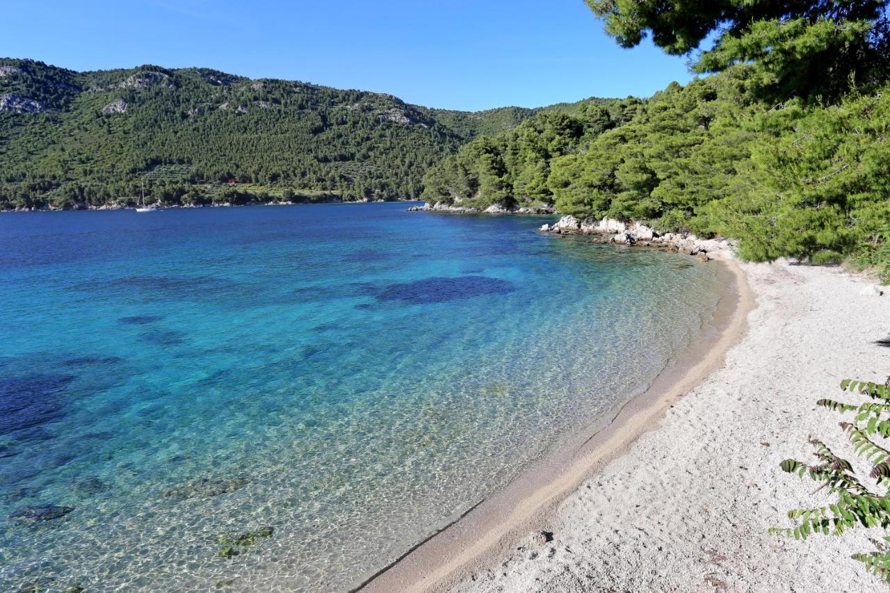 Apartments By The Sea Zuljana, Peljesac - 19841 Exteriér fotografie